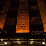 Orange Owl *
