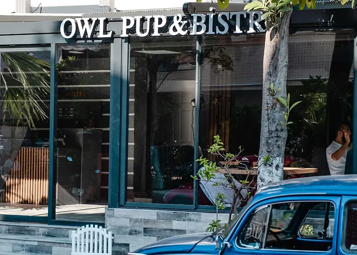 Hotel Orange Owl *