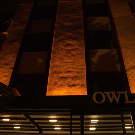 Orange Owl *