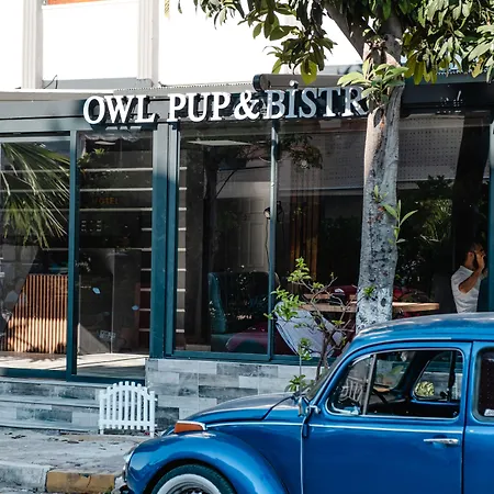 Hotel Orange Owl *