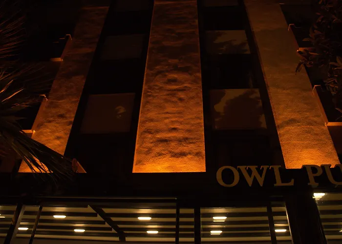 Orange Owl *